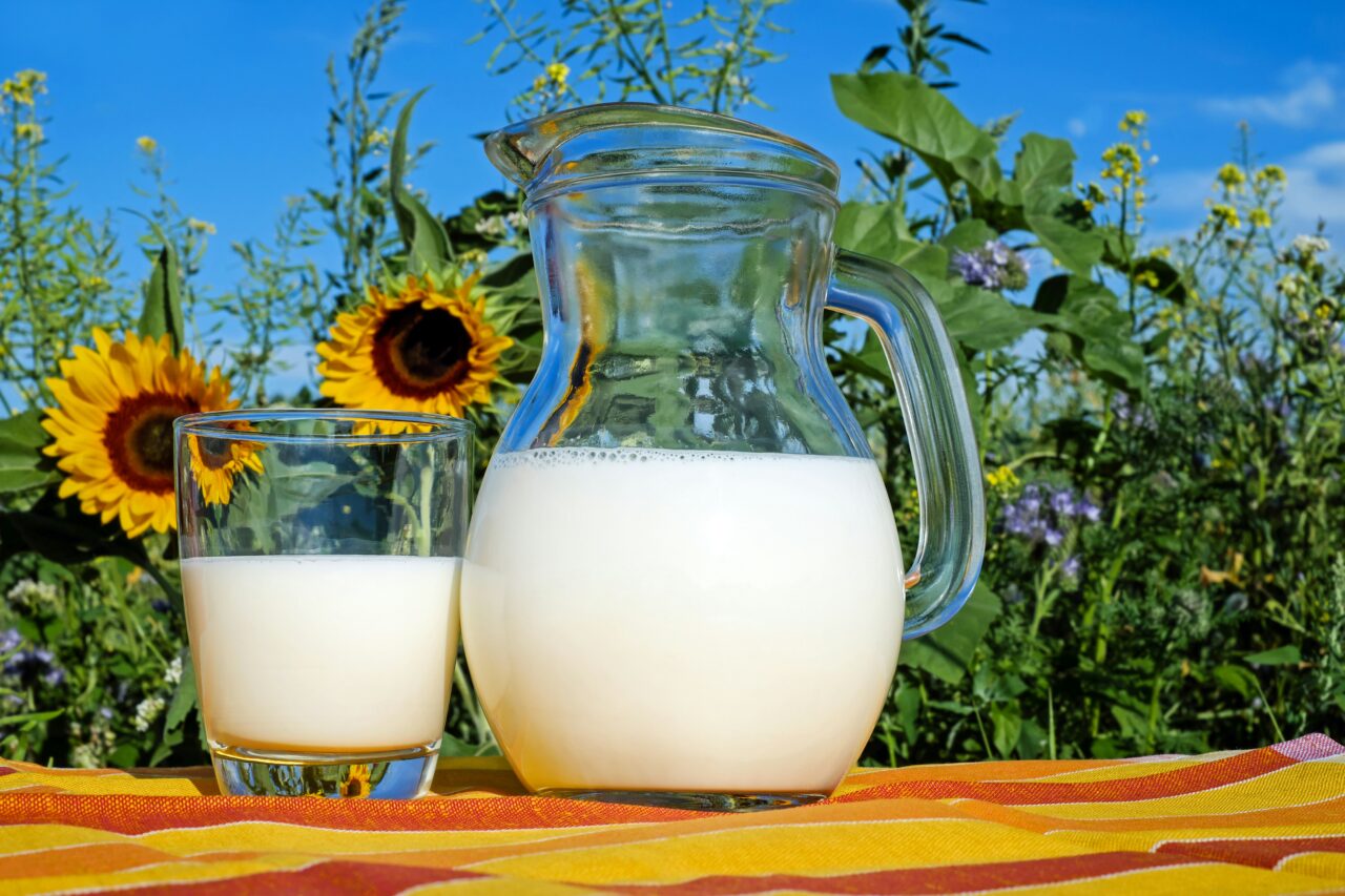 milk and dairy products in UK diets
