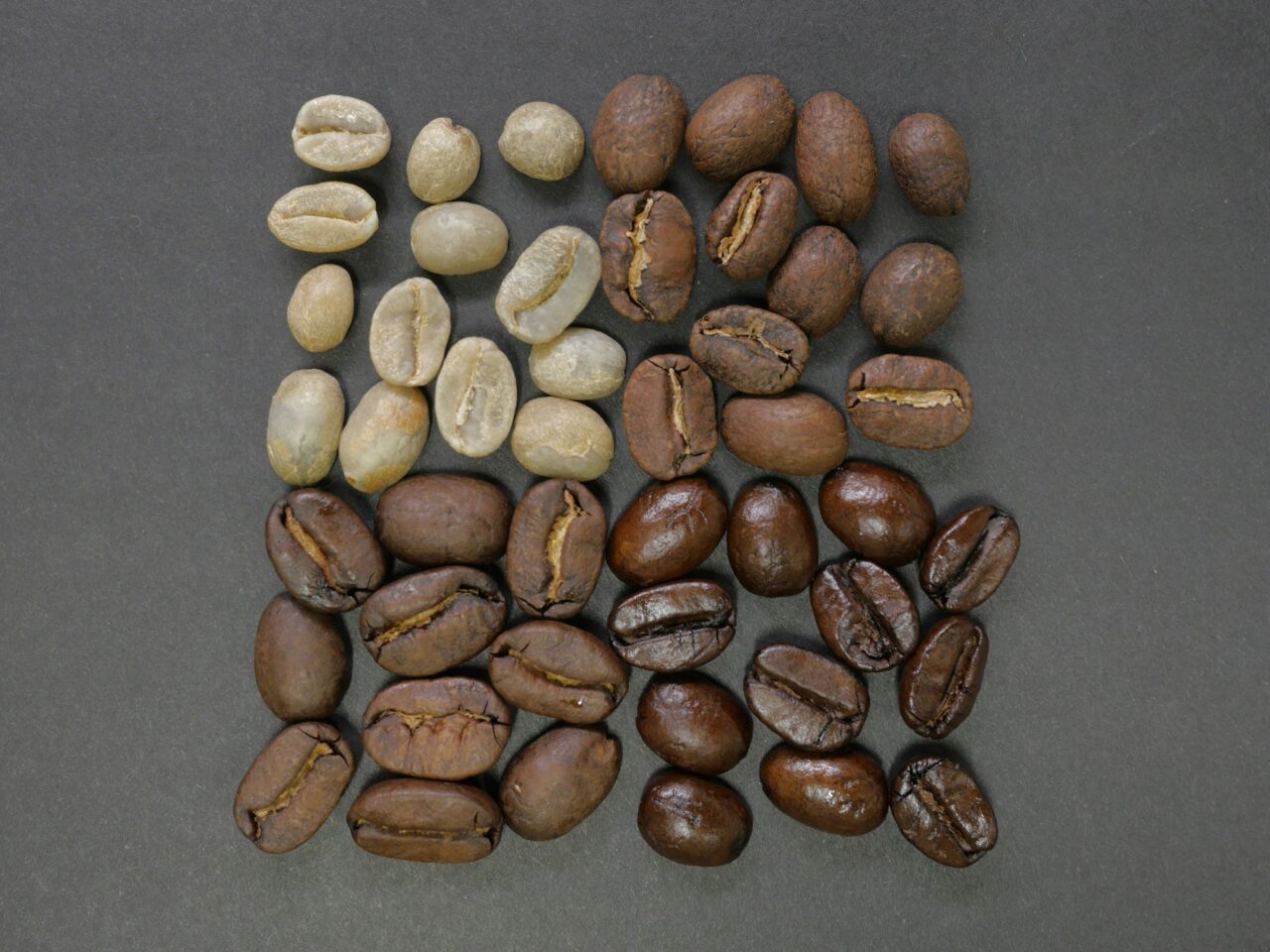 different types of charcter profiles on every coffee drinker personality