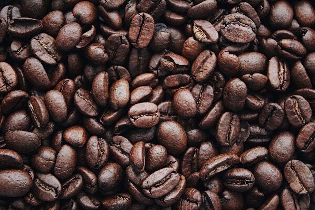 different types of coffee beans